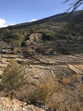 Bhoutan 8