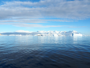 Antarctique 3